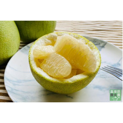 四十年老欉麻豆文旦