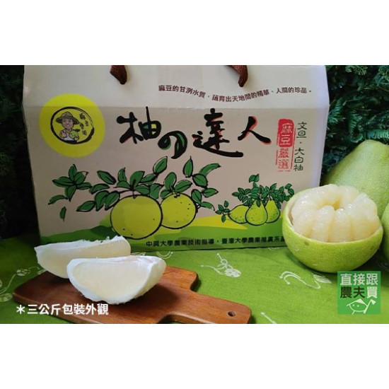 四十年老欉麻豆文旦