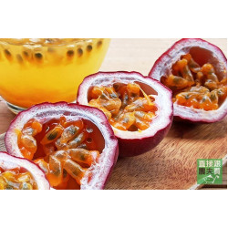 紅寶石 有機台農一號百香果